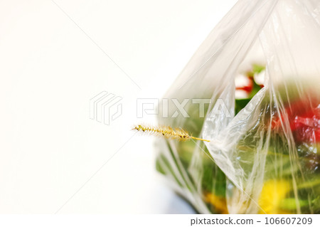 DEFOCUS. Plastic flower. Red and green plants flowers in a plastic bag on a white background. A dry blade of grass sticks out. Ecological problems. Close-up. Out of focus 106607209
