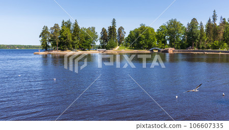 Monrepos Park summer panoramic landscape photo, Vyborg, Russia 106607335