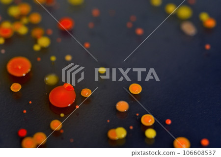 Bacterial colonies grown on agar medium Bacterial colonies grown on agar medium 106608537