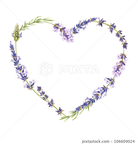 Lavender Heart shaped Wreath. Watercolor botanical illustration of purple flowers. Hand drawn Frame isolated on white background. Drawing of herbal border. Template for cards with copy space Lavender Heart shaped Wreath. Watercolor botanical illustration of purple flowers. Hand drawn Frame isolated on white background. Drawing of herbal border. Template for cards with copy space 106609024