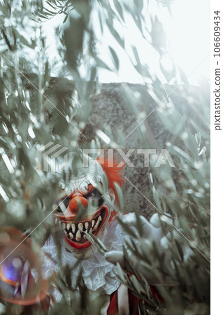 mad evil clown seen through the branches of a tree mad evil clown seen through the branches of a tree 106609434