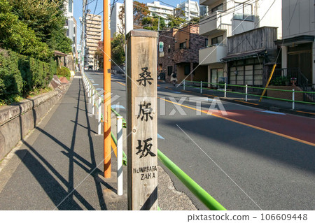 Kuwabara-zaka in Shirokanedai, Minato-ku, Tokyo 106609448