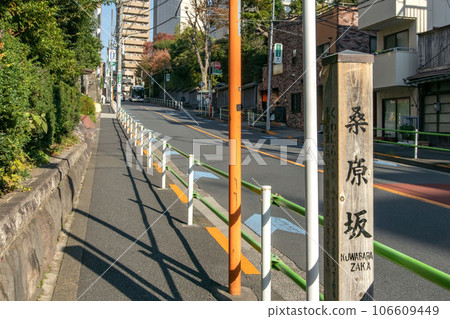 Kuwabara-zaka in Shirokanedai, Minato-ku, Tokyo 106609449