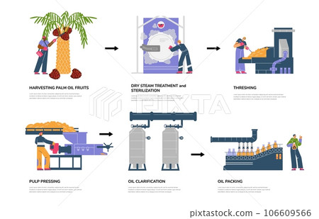Infographic with stages of palm oil production flat style, vector illustration Infographic with stages of palm oil production flat style, vector illustration 106609566