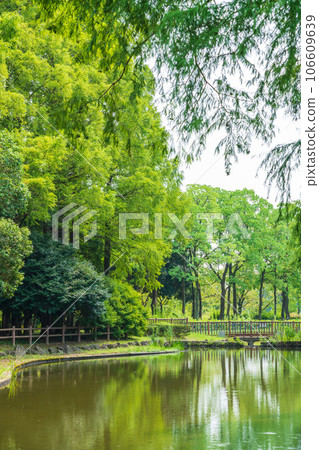 Shonai Ryokuchi Park, Gama Pond with beautiful greenery <Nagoya City, Aichi Prefecture> 106609639