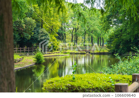 Shonai Ryokuchi Park, Gama Pond with beautiful greenery <Nagoya City, Aichi Prefecture> Shonai Ryokuchi Park, Gama Pond with beautiful greenery <Nagoya City, Aichi Prefecture> 106609640