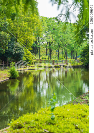 莊內綠地公園、綠意盎然的伽馬池<愛知縣名古屋市> 莊內綠地公園、綠意盎然的伽馬池<愛知縣名古屋市> 106609642