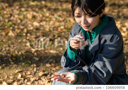 A woman taking a photo of the acorns she picked up 106609956