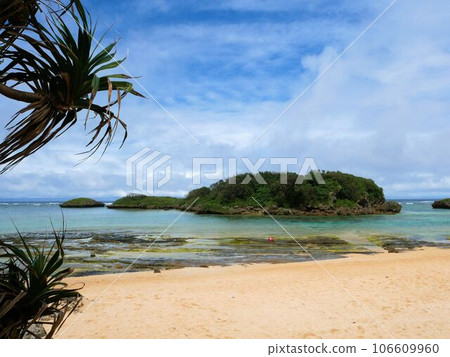 Hoshisuna Beach, a beach on Iriomote Island, Okinawa Prefecture 106609960