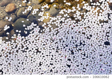 花筏、櫻花花瓣和水面、春天意象、背景素材、圖像素材、紋理 106610062