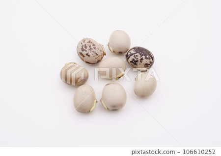 Mukuna豆 Mukuna豆 106610252