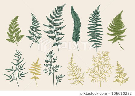 Set with fern leaves Set with fern leaves 106610282