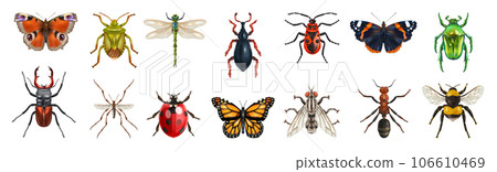 Realistic Insects Icon Set 106610469
