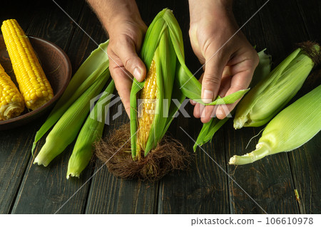 Close-up of chef hands cleaning ripe corn cobs on kitchen table. Concept of cooking vegetarian food 106610978