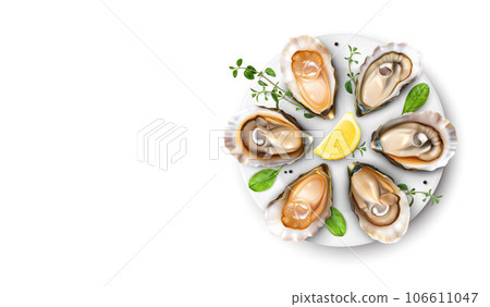 Oysters Realistic Composition 106611047