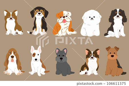 一隻簡單可愛的中型狗面朝前坐著的插圖集，沒有主線 106611375
