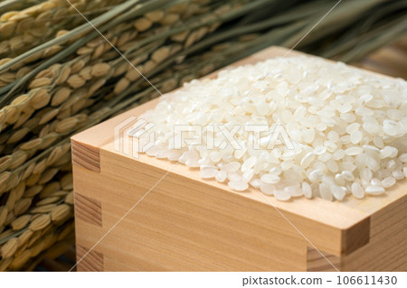 馬蘇里的米飯和稻穗。新圖片。 106611430