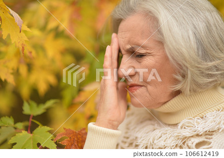 Nice sad old woman on the autumn background Nice sad old woman on the autumn background 106612419