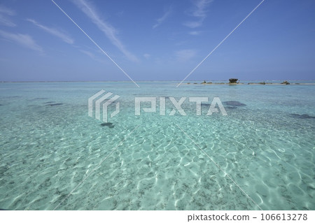 鹿兒島縣與論島百合濱 鹿兒島縣與論島百合濱 106613278