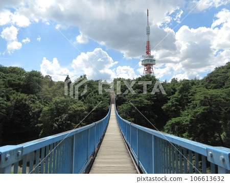 八幡山公園的冒險橋和宇都宮塔 106613632
