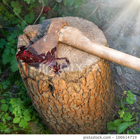 A bloody ax lies on a stump A bloody ax lies on a stump 106614719