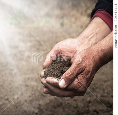 Man's hands holding a handful of earth 106614741