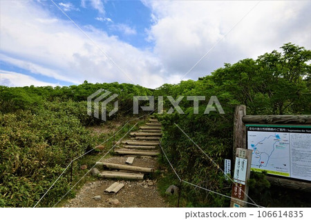 Kamui Mintara、眾神花園、大雪山、旭岳索道、北海道初夏、七月、旭岳是人間校園 106614835