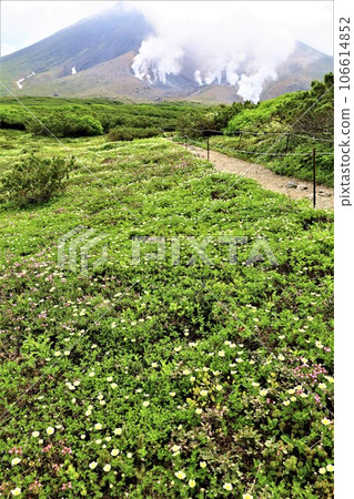 Kamui Mintara, Garden of the Gods, Daisetsuzan, Mt. Asahidake Ropeway, Hokkaido in early summer, July, Mt. Asahidake is a campus on earth Kamui Mintara, Garden of the Gods, Daisetsuzan, Mt. Asahidake Ropeway, Hokkaido in early summer, July, Mt. Asahidake is a campus on earth 106614852