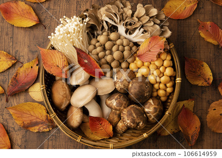 Assorted mushrooms Assorted mushrooms 106614959