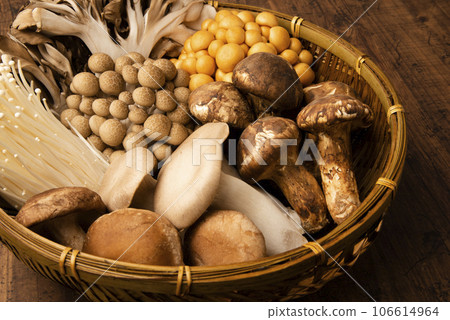 Assorted mushrooms Assorted mushrooms 106614964