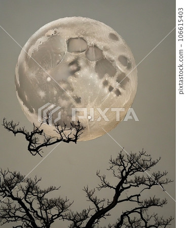 Full moon, dead branches and moon floating in the full moon Full moon, dead branches and moon floating in the full moon 106615403