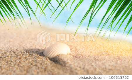 Sea shell on the seashore and summer beach. Sea shell on the seashore and summer beach. 106615702