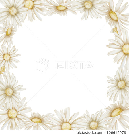 Daisy Frame. Hand drawn watercolor illustration of square Border with Chamomile flowers on isolated background. Botanical Template for greeting cards or wedding invitations. Drawing for icon or logo. 106616078