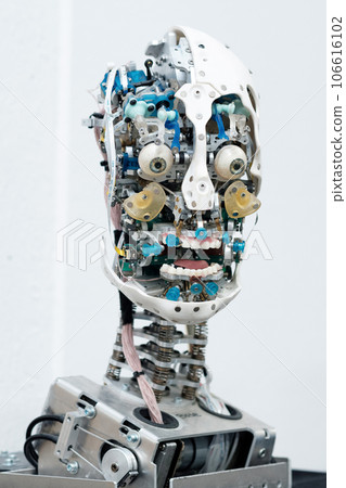 head of anthropomorphic robot capable of imitating emotions, without an outer shell skin, on a white background 106616102