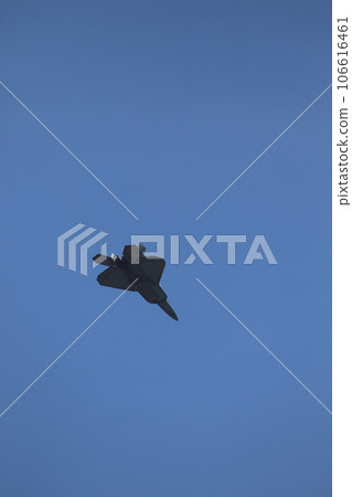 F22 Raptor in flight 106616461