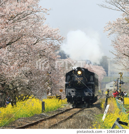 Spring Moka railway SL 106616473