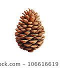 pine cone isolated on white background 106616619