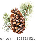 pine cone isolated on white background 106616621