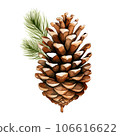 pine cone isolated on white background 106616622