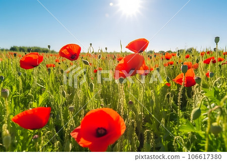 Beautiful field of red poppies in the sunset light. Neural network AI generated 106617380