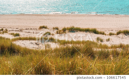 Beach landscape on Sylt island with the marram grass dunes and the seawater Beach landscape on Sylt island with the marram grass dunes and the seawater 106617545