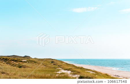 Landscape in the North Sea on Sylt island with the marram grass dunes Landscape in the North Sea on Sylt island with the marram grass dunes 106617548