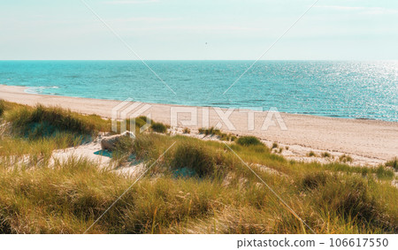 Landscape on Sylt island with marram grass dunes and the North Sea 106617550