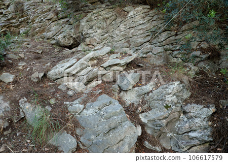 Moss on rock face relief texture of stone with patterns 106617579