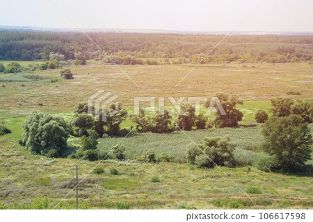 Sunny spring morning on meadow with trees 106617598