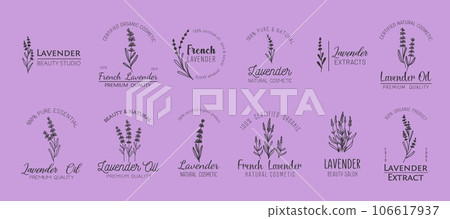 French lavender minimal icons. Oil, natural cosmetics and beauty symbols with lavender flowers. Vector plant or herb branches with leaves and flowers, lavandula floral bouquets isolated emblems set 106617937