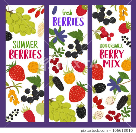 Forest and garden ripe berries. Vector vertical cards with grapes, blackberry, mulberry, strawberry and cloudberry. Black currant, sea buckthorn, birds cherry and raspberry, honeyberry or cranberry Forest and garden ripe berries. Vector vertical cards with grapes, blackberry, mulberry, strawberry and cloudberry. Black currant, sea buckthorn, birds cherry and raspberry, honeyberry or cranberry 106618010