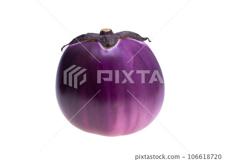eggplant isolated 106618720