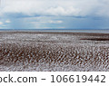 Snow on a sandy beach, undulating sand, summer. Disturbance of the earth's climate, ecological disaster 106619442