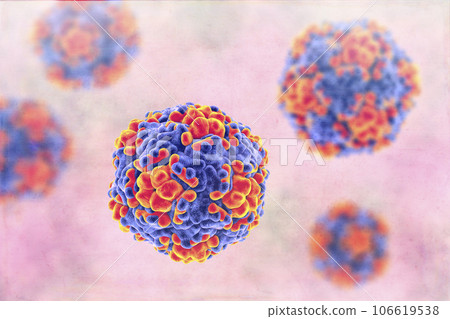 Echo viruses, 3D illustration Echo viruses, 3D illustration 106619538